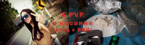 стафф Абинск
