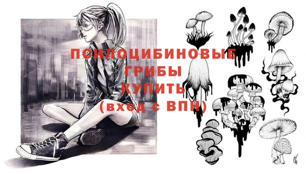твердый Алексеевка