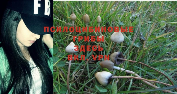 прущая мука Ладушкин